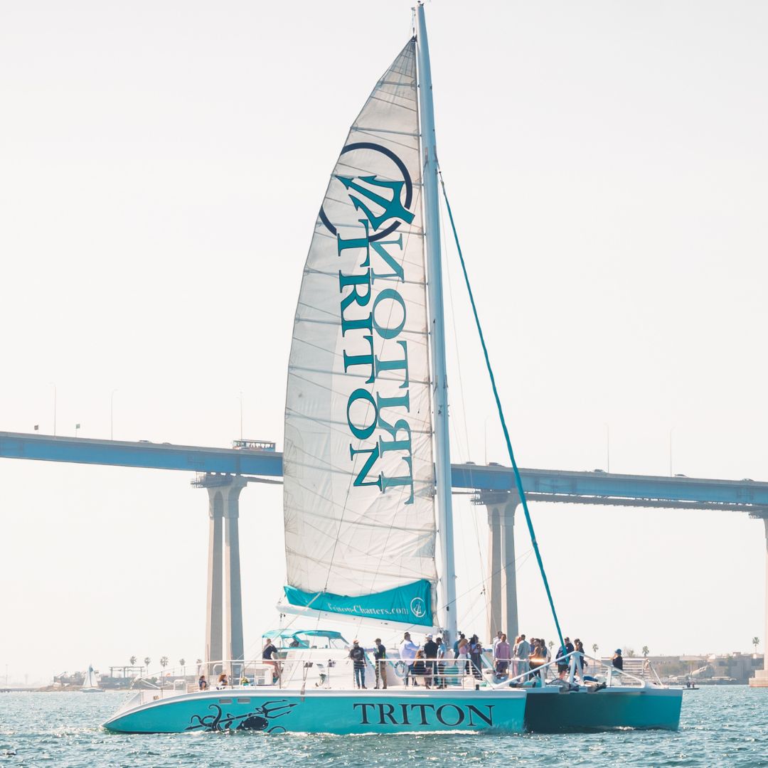 Nate Sinisgalli, Triton Charters